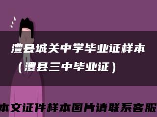 澧县城关中学毕业证样本（澧县三中毕业证）缩略图