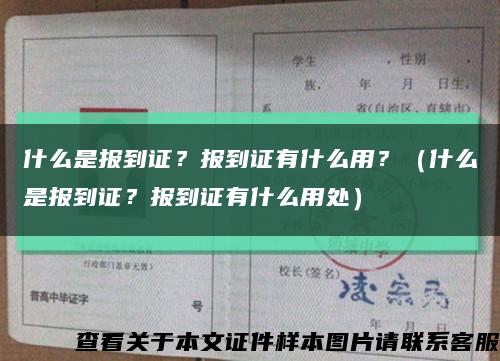 什么是报到证？报到证有什么用？（什么是报到证？报到证有什么用处）缩略图