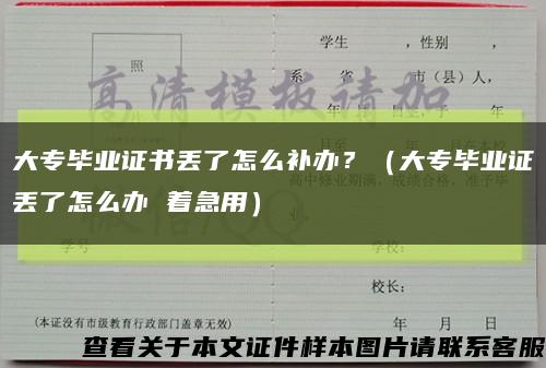 大专毕业证书丢了怎么补办？（大专毕业证丢了怎么办 着急用）缩略图