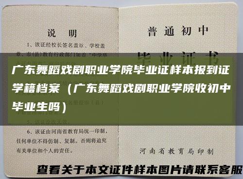 广东舞蹈戏剧职业学院毕业证样本报到证学籍档案（广东舞蹈戏剧职业学院收初中毕业生吗）缩略图