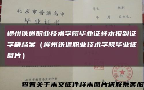 柳州铁道职业技术学院毕业证样本报到证学籍档案（柳州铁道职业技术学院毕业证图片）缩略图