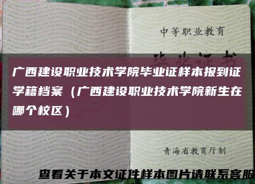 广西建设职业技术学院毕业证样本报到证学籍档案（广西建设职业技术学院新生在哪个校区）缩略图