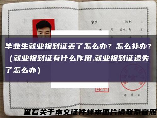 毕业生就业报到证丢了怎么办？怎么补办？（就业报到证有什么作用,就业报到证遗失了怎么办）缩略图