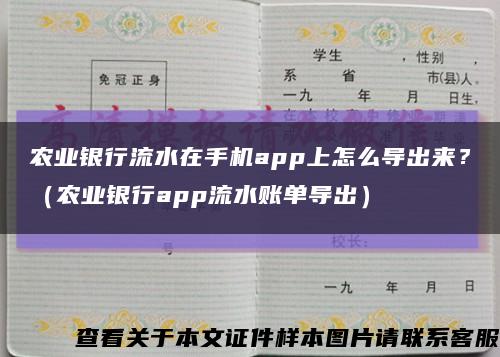 农业银行流水在手机app上怎么导出来？（农业银行app流水账单导出）缩略图