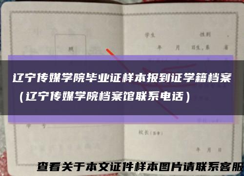 辽宁传媒学院毕业证样本报到证学籍档案（辽宁传媒学院档案馆联系电话）缩略图