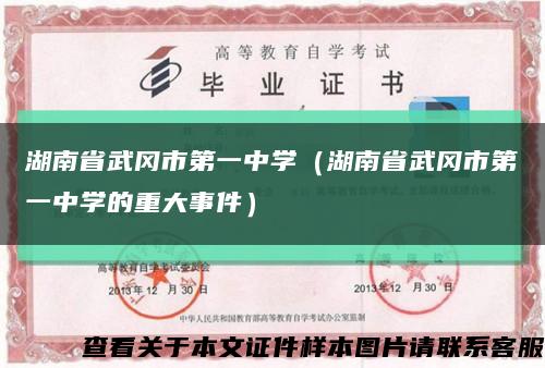 湖南省武冈市第一中学（湖南省武冈市第一中学的重大事件）缩略图