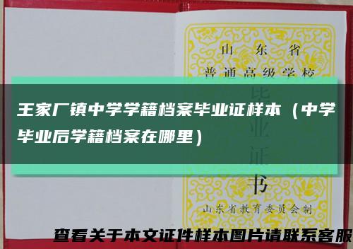 王家厂镇中学学籍档案毕业证样本（中学毕业后学籍档案在哪里）缩略图