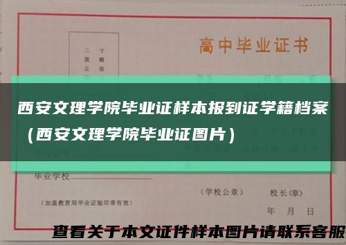 西安文理学院毕业证样本报到证学籍档案（西安文理学院毕业证图片）缩略图