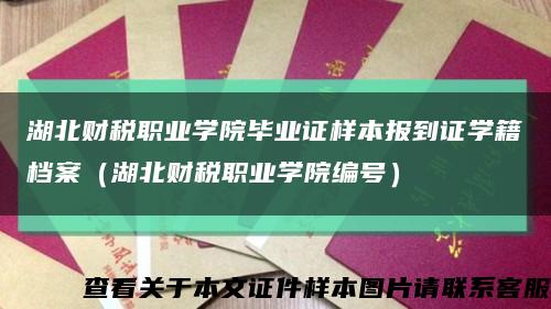 湖北财税职业学院毕业证样本报到证学籍档案（湖北财税职业学院编号）缩略图