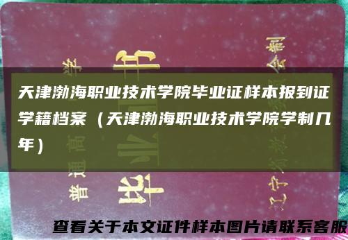 天津渤海职业技术学院毕业证样本报到证学籍档案（天津渤海职业技术学院学制几年）缩略图