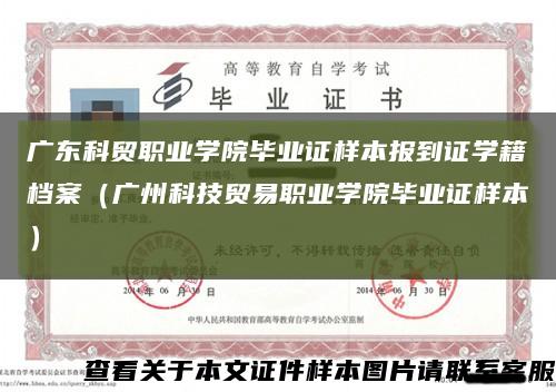 广东科贸职业学院毕业证样本报到证学籍档案（广州科技贸易职业学院毕业证样本）缩略图