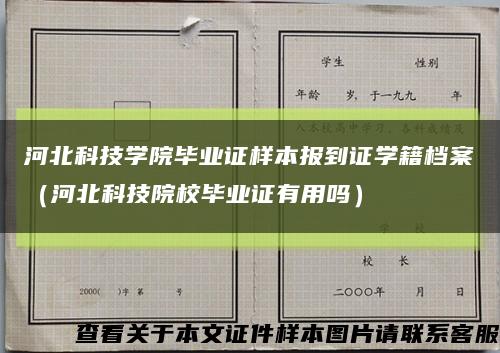 河北科技学院毕业证样本报到证学籍档案（河北科技院校毕业证有用吗）缩略图