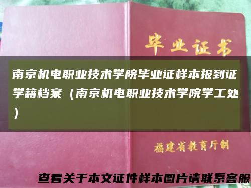 南京机电职业技术学院毕业证样本报到证学籍档案（南京机电职业技术学院学工处）缩略图