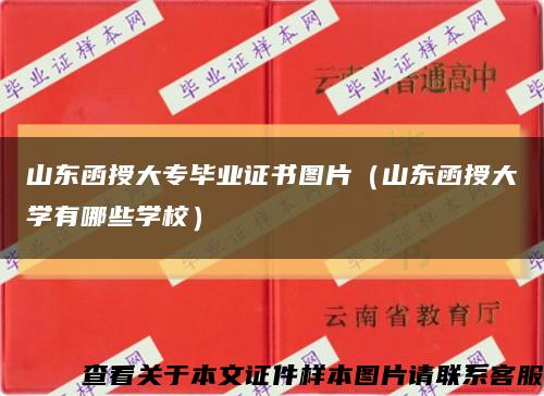 山东函授大专毕业证书图片（山东函授大学有哪些学校）缩略图