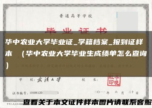 华中农业大学毕业证_学籍档案_报到证样本 （华中农业大学毕业生成绩单怎么查询）缩略图