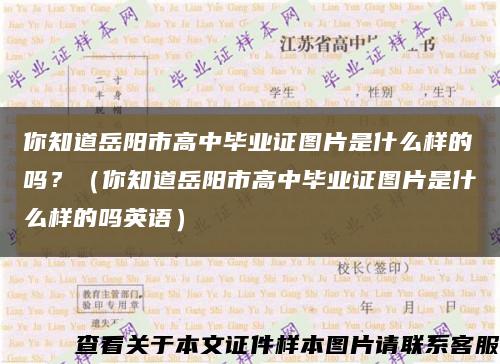 你知道岳阳市高中毕业证图片是什么样的吗？（你知道岳阳市高中毕业证图片是什么样的吗英语）缩略图