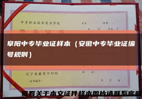 阜阳中专毕业证样本（安徽中专毕业证编号规则）缩略图