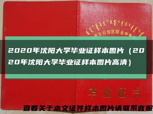 2020年沈阳大学毕业证样本图片（2020年沈阳大学毕业证样本图片高清）缩略图