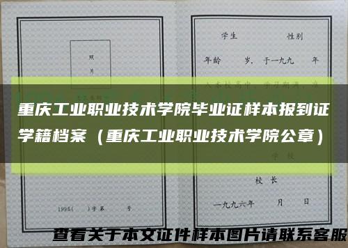 重庆工业职业技术学院毕业证样本报到证学籍档案（重庆工业职业技术学院公章）缩略图