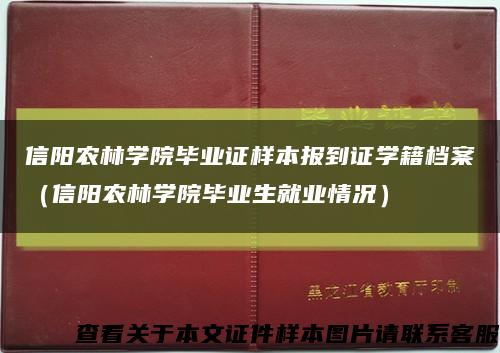 信阳农林学院毕业证样本报到证学籍档案（信阳农林学院毕业生就业情况）缩略图