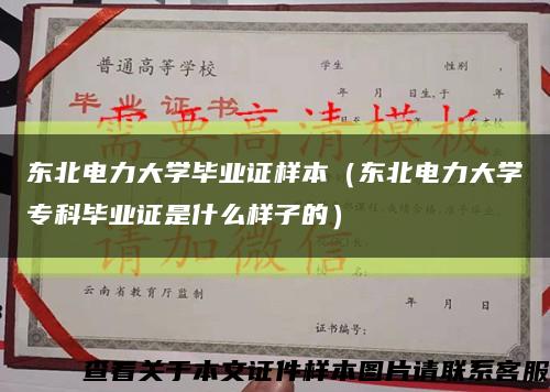 东北电力大学毕业证样本（东北电力大学专科毕业证是什么样子的）缩略图