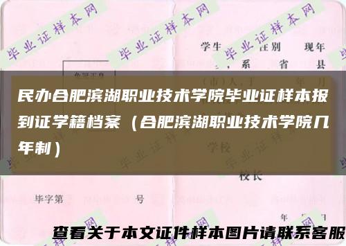 民办合肥滨湖职业技术学院毕业证样本报到证学籍档案（合肥滨湖职业技术学院几年制）缩略图