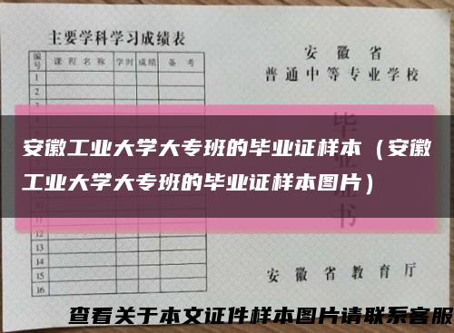 安徽工业大学大专班的毕业证样本（安徽工业大学大专班的毕业证样本图片）缩略图