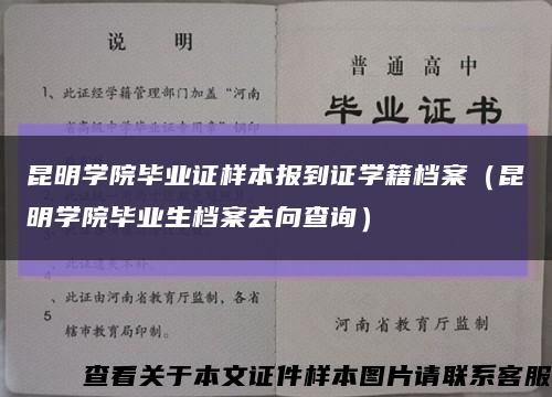 昆明学院毕业证样本报到证学籍档案（昆明学院毕业生档案去向查询）缩略图