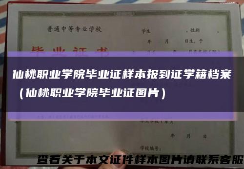 仙桃职业学院毕业证样本报到证学籍档案（仙桃职业学院毕业证图片）缩略图