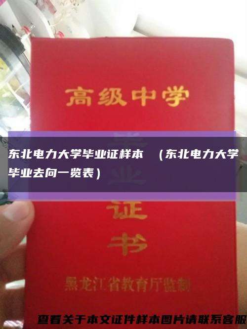 东北电力大学毕业证样本 （东北电力大学毕业去向一览表）缩略图