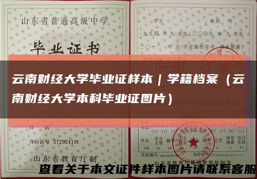 云南财经大学毕业证样本｜学籍档案（云南财经大学本科毕业证图片）缩略图