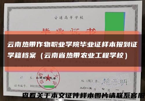 云南热带作物职业学院毕业证样本报到证学籍档案（云南省热带农业工程学校）缩略图