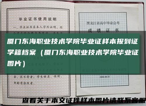 厦门东海职业技术学院毕业证样本报到证学籍档案（厦门东海职业技术学院毕业证图片）缩略图