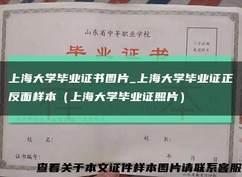 上海大学毕业证书图片_上海大学毕业证正反面样本（上海大学毕业证照片）缩略图