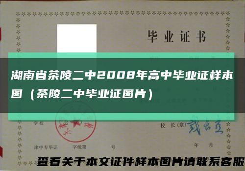 湖南省茶陵二中2008年高中毕业证样本图（茶陵二中毕业证图片）缩略图