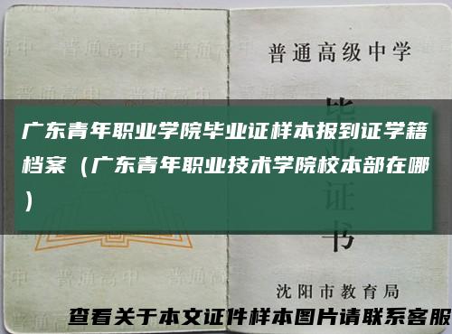 广东青年职业学院毕业证样本报到证学籍档案（广东青年职业技术学院校本部在哪）缩略图