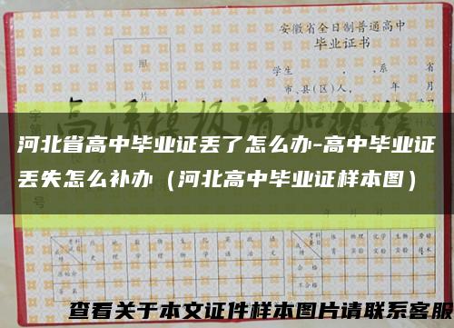 河北省高中毕业证丢了怎么办-高中毕业证丢失怎么补办（河北高中毕业证样本图）缩略图