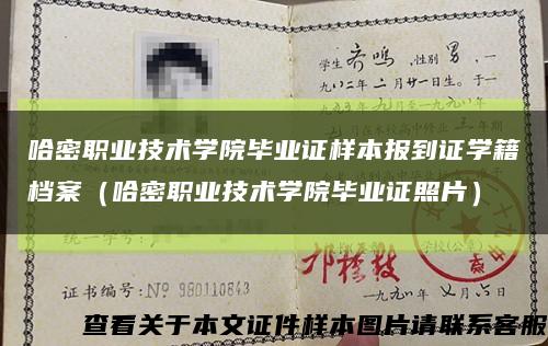 哈密职业技术学院毕业证样本报到证学籍档案（哈密职业技术学院毕业证照片）缩略图