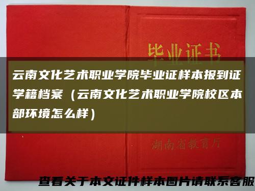 云南文化艺术职业学院毕业证样本报到证学籍档案（云南文化艺术职业学院校区本部环境怎么样）缩略图