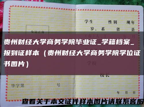 贵州财经大学商务学院毕业证_学籍档案_报到证样本（贵州财经大学商务学院学位证书图片）缩略图