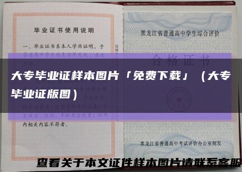 大专毕业证样本图片「免费下载」（大专毕业证版图）缩略图