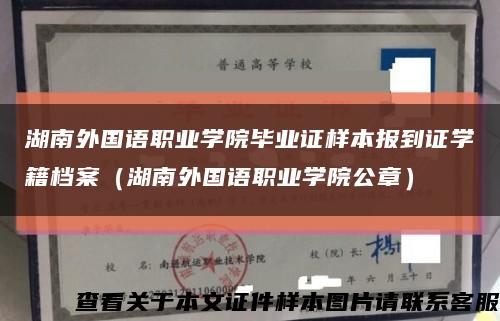 湖南外国语职业学院毕业证样本报到证学籍档案（湖南外国语职业学院公章）缩略图