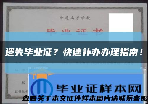 遗失毕业证？快速补办办理指南！缩略图