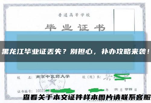 黑龙江毕业证丢失？别担心，补办攻略来袭！缩略图