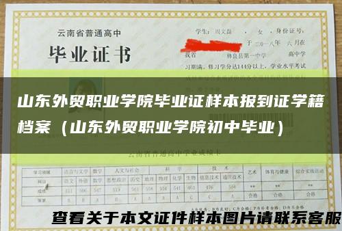 山东外贸职业学院毕业证样本报到证学籍档案（山东外贸职业学院初中毕业）缩略图