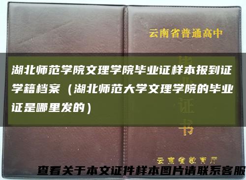 湖北师范学院文理学院毕业证样本报到证学籍档案（湖北师范大学文理学院的毕业证是哪里发的）缩略图