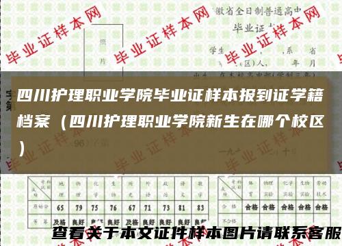 四川护理职业学院毕业证样本报到证学籍档案（四川护理职业学院新生在哪个校区）缩略图