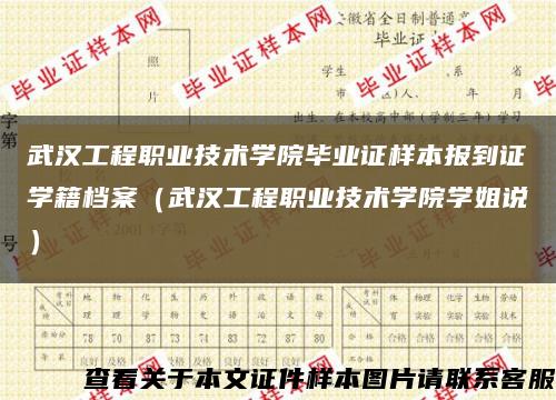 武汉工程职业技术学院毕业证样本报到证学籍档案（武汉工程职业技术学院学姐说）缩略图