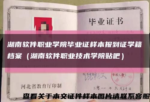 湖南软件职业学院毕业证样本报到证学籍档案（湖南软件职业技术学院贴吧）缩略图