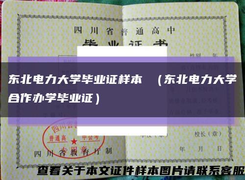 东北电力大学毕业证样本 （东北电力大学合作办学毕业证）缩略图